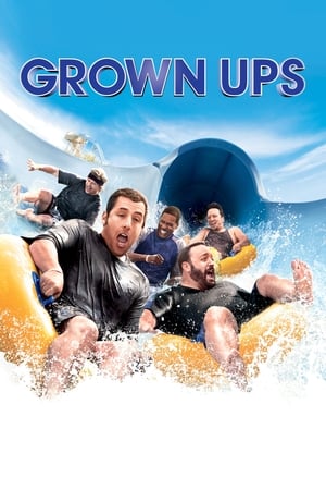 Grown Ups (2010) Hindi Dual Audio 480p BluRay 300MB Movie Poster