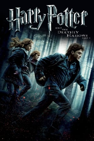 Harry Potter and the Deathly Hallows 2010 – Part 1 Hindi Dubbed Bluray 720p [1.0GB] Download Movie Poster