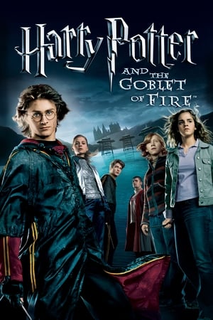 Harry Potter and the Goblet of Fire 2005 Hindi Dual Audio WEB-DL 1080p - 720p - 480p Movie Poster