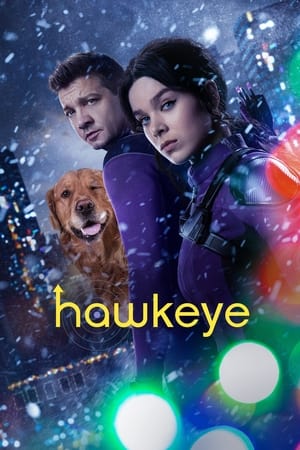 HawkEye (2021) Season 1 Dual Audio Hindi HDRip – 720p – 480p [1- 6 Episodes] Movie Poster