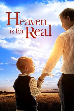 Heaven Is for Real (2014) Hindi Dual Audio 720p BluRay [850MB] ESubs Movie Poster