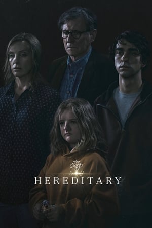 Hereditary 2018 Hindi Dual Audio HDRip 720p – 480p Movie Poster