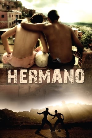 Hermano 2010 Hindi Dual Audio 480p BluRay 300MB Movie Poster