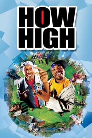 How High (2001) Hindi Dual Audio 480p WebRip 300MB Movie Poster