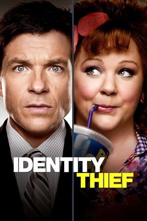 Identity Thief (2013) Hindi Dual Audio 720p BluRay [1GB] Movie Poster