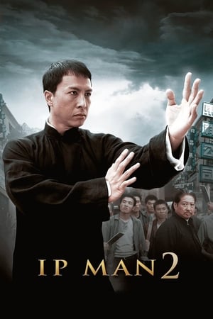 Ip Man 2 (2010) Hindi Dual Audio 480p BluRay 350MB Movie Poster