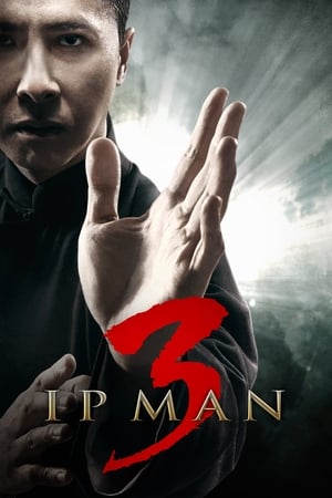 Ip Man 3 (2015) Hindi Dual Audio 720p HDRip [900MB] Movie Poster