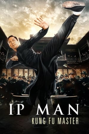 Ip Man: Kung Fu Master (2019) Hindi Dual Audio 480p HDRip 300MB Movie Poster