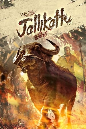 Jallikattu (2019) (Hindi – Malayalam) Dual Audio UnCut HDRip 720p – 480p Movie Poster