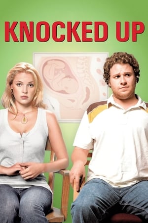 Knocked Up (2007) Hindi Dual Audio 480p BluRay 350MB Movie Poster