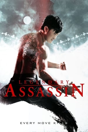 Legendary Assassin (2008) Hindi Dual Audio 480p BluRay 300MB Movie Poster