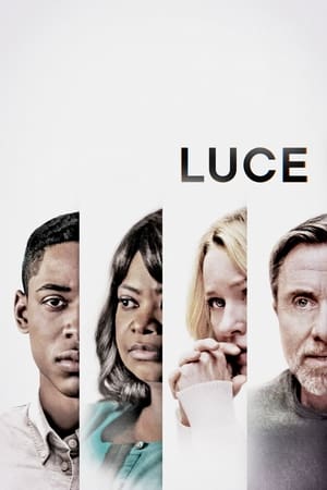 Luce 2019 Hindi Dual Audio 720p Web-DL [1GB] Movie Poster