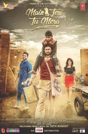 Main Teri Tu Mera 2016 Punjabi 480p HDRip ESubs [400 MB] Movie Poster