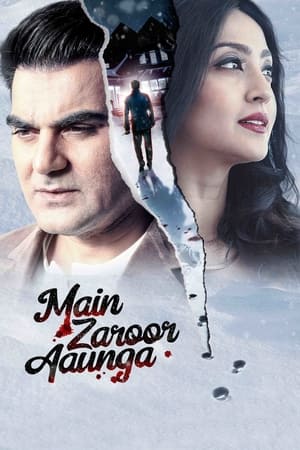 Main Zaroor Aaunga 2019 Hindi Movie 480p HDRip - [260MB] Movie Poster