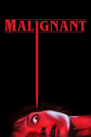 Malignant (2021) Hindi (ORG) Dual Audio 480p HDRip 400MB Movie Poster