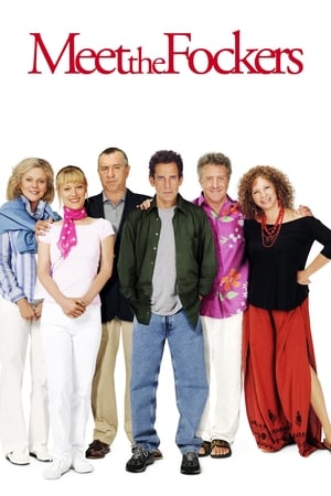 Meet the Fockers 2004 Hindi Dual Audio 480p BluRay 350MB Movie Poster