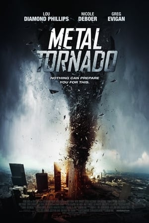 Metal Tornado 2011 Hindi Dual Audio 480p BluRay 300MB Movie Poster