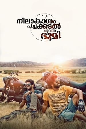 Neelakasham Pachakadal Chuvanna Bhoomi (2013) Hindi Dubbed 480p HDRip 450MB Movie Poster