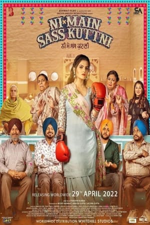 Ni Main Sass Kuttni 2022 Punjabi Audio WEB-DL 1080p - 720p – 480p Movie Poster