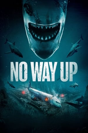 No Way Up (2024) Hindi Dual Audio HDRip 720p – 480p – 1080p Movie Poster