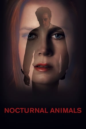 Nocturnal Animals (2016) Hindi Dual Audio 480p BluRay 380MB Movie Poster