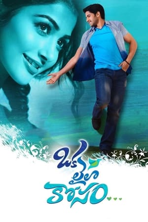 Oka Laila Kosam 2014 (Hindi – Telugu) Dual Audio 480p UnCut HDRip 500MB Movie Poster