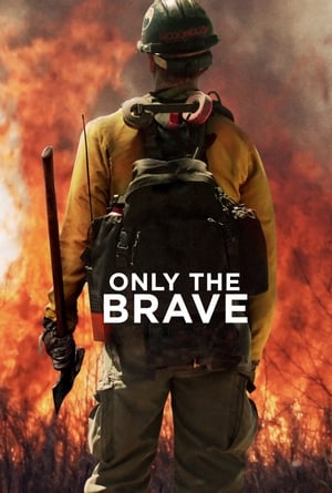 Only the Brave 2017 Hindi Dual Audio HDRip 720p – 480p Movie Poster