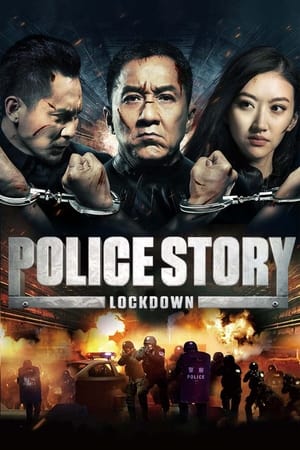 Police Story: Lockdown (2013) Hindi Dual Audio 480p BluRay 380MB Movie Poster