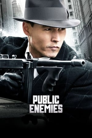 Public Enemies (2009) Hindi Dual Audio 480p BluRay 400MB Movie Poster