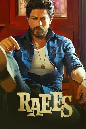 Raees (2017) 400MB Full Movie 480p DVDRip Download Movie Poster