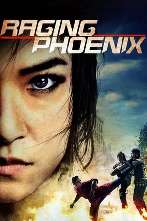 Raging Phoenix (2009) Hindi Dual Audio 480p HDRip 350MB Movie Poster