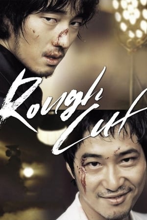 Rough Cut (2008) Hindi Dual Audio 720p BluRay [1GB] Movie Poster