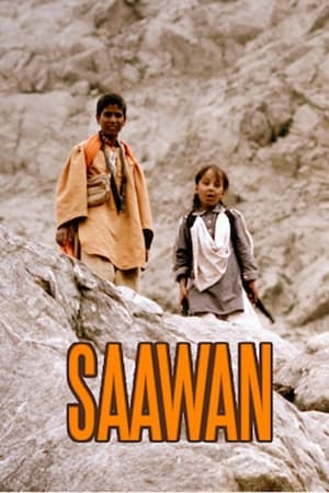 Saawan (2016) Urdu Movie 480p HDRip - [360MB] Movie Poster