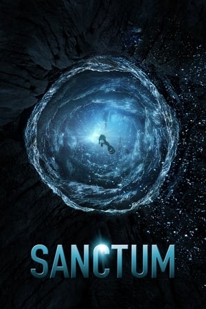 Sanctum (2011) Hindi Dual Audio 480p BluRay 400MB Movie Poster