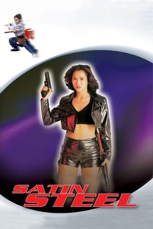 Satin Steel (1994) Hindi Dual Audio 480p Web-DL 260MB Movie Poster