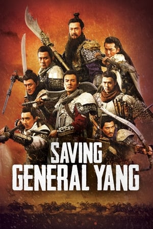 Saving General Yang (2013) Hindi Dual Audio 720p BluRay [900MB] Movie Poster