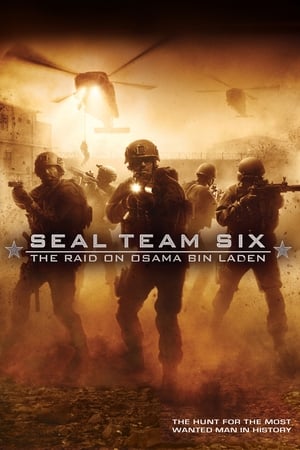 Seal Team Six: The Raid on Osama Bin Laden (2012) Hindi Dual Audio Full Movie 720p BluRay - 1.3GB Movie Poster