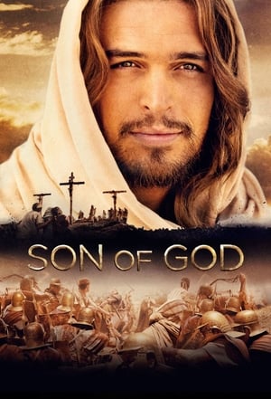 Son of God 2014 Hindi Dual Audio 720p BluRay [980MB] Movie Poster