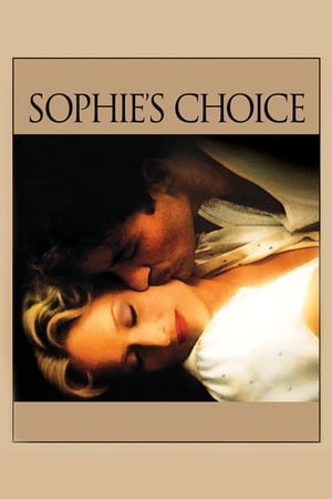 Sophie's Choice (1982) Dual Audio Hindi Full Movie 720p BluRay - 1.1GB Movie Poster