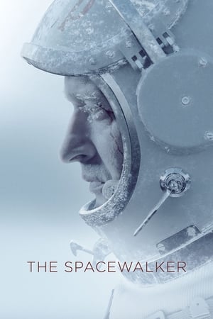 Spacewalk 2017 Hindi Dual Audio HDRip 720p – 480p Movie Poster