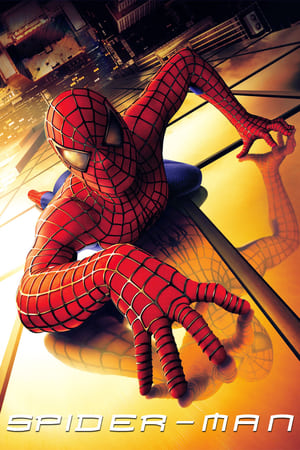 Spider Man (2002) Hindi Dual Audio Bluray 720p [800MB] Download Movie Poster