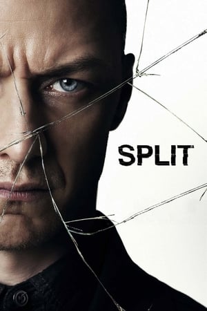 Split (2016) Hindi Dual Audio 480p BluRay 400MB Movie Poster