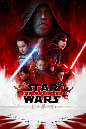 Star Wars The Last Jedi 2017 Dual Audio Hindi BluRay ORG Hevc [200MB] Movie Poster