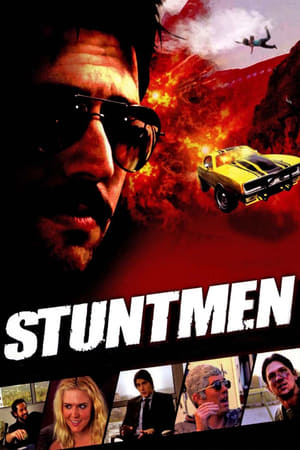 Stuntmen 2009 Hindi Dual Audio 480p WebRip 300MB Movie Poster