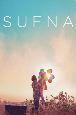 Sufna (2020) Hindi Movie 720p HDRip x264 [1GB] Movie Poster