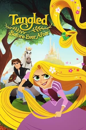 Tangled Before Ever After 2017 Dual Audio Hindi Full Movie 720p Web-DL - 600MB Movie Poster