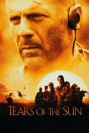 Tears of The Sun (2003) 100mb Hindi Dual Audio movie Hevc BRRip Download Movie Poster