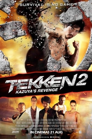 Tekken Kazuyas Revenge 2014 Hindi Dual Audio 480p BluRay 300MB Movie Poster