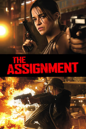 The Assignment (2016) Hindi Dual Audio 480p BluRay 300MB Movie Poster