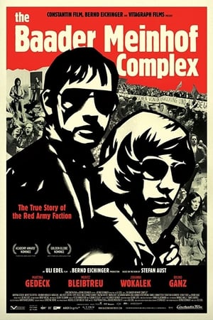 The Baader Meinhof Complex (2008) Hindi Dual Audio 480p HDRip 500MB